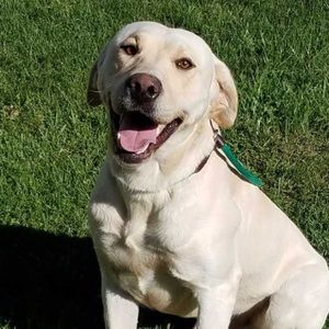 Meet your Posher, Jenni